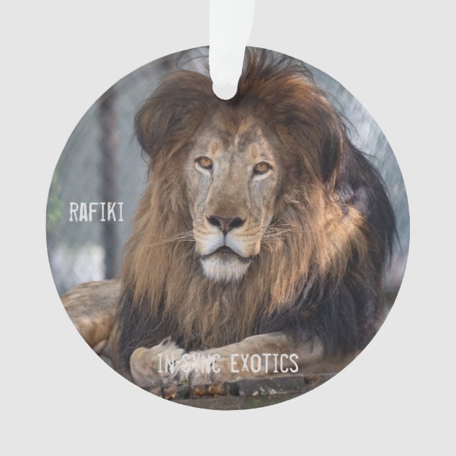 Rafiki - ornament (Vorderseite)