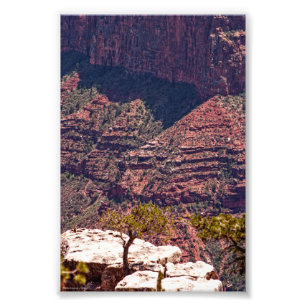 Rafinesque Uhren Fotodruck