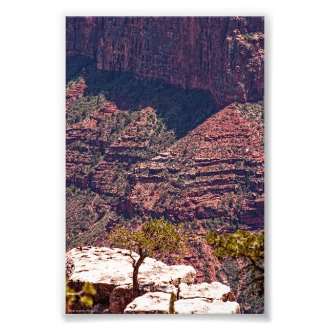 Rafinesque Uhren Fotodruck (Vorne)