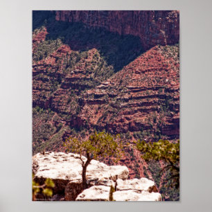 Rafinesque Uhren Poster