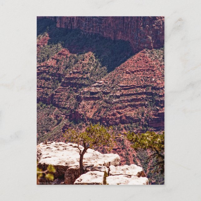 Rafinesque Uhren Postkarte (Vorderseite)