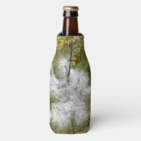 Milkweed | Papillon |