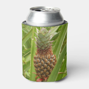 Rafraichisseur De Cannettes Ananas sauvage Fruit tropical dans la nature