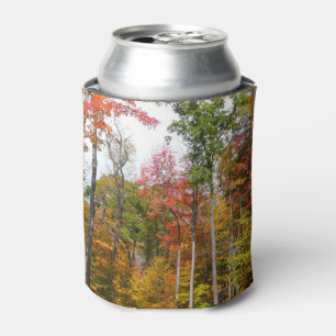 Rafraichisseur De Cannettes Automne dans la forêt Colorée Photographie d'autom
