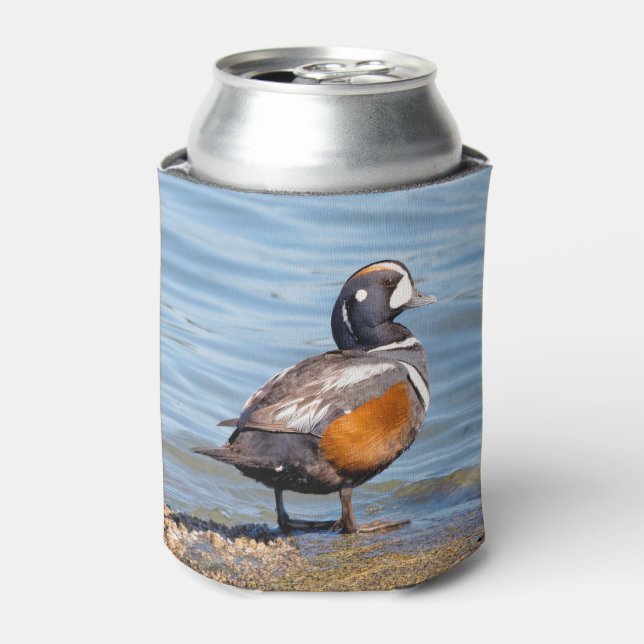 Rafraichisseur De Cannettes Beau canard arlequin sur le rocher (Can devant)