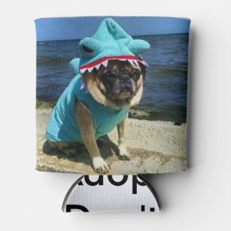 Rafraichisseur De Cannettes Carlin requin