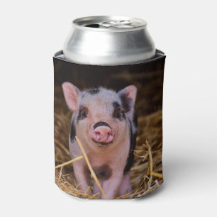 Rafraichisseur De Cannettes Porc mignon doux