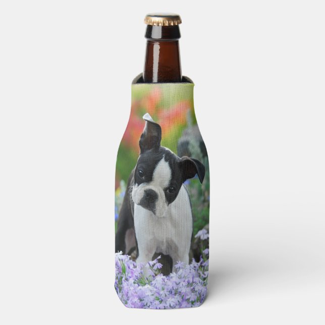 Rafraîchisseur Pour Bouteille Boston Terrier Chien Cute Chiot Photo, Veste À Bou (Bottle Devant)