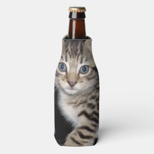 Rafraîchisseur Pour Bouteille Kitten Gris Fluffé Bleu,