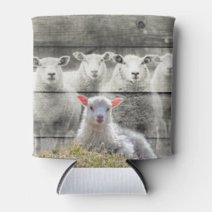 Rafraîchisseur Pour Canette Agneau de bébé de Sheep Flock