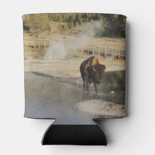 Rafraîchisseur Pour Canette American Bison Yellowstone Wildlife Photography