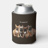 Bouledogue français famille de chiens