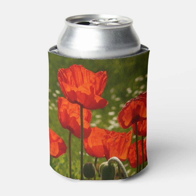Rafraîchisseur Pour Canette Bright Poppies Close Up Photo (Can devant)