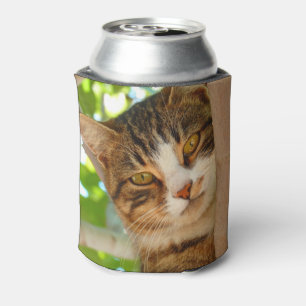 Rafraîchisseur Pour Canette Chat mignon grimpant à un arbre