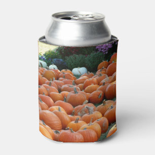 Rafraîchisseur Pour Canette Citrouilles et Chrysanthèmes Photographie de la ré