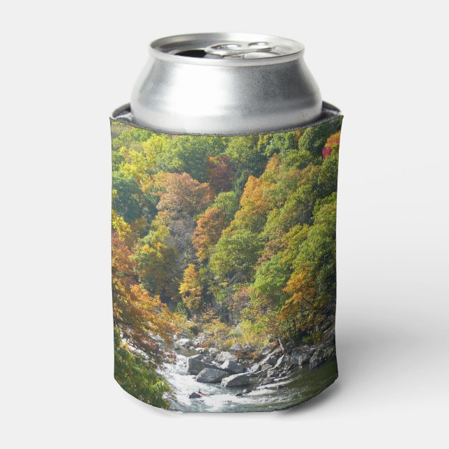 Rafraîchisseur Pour Canette Couleur d'automne dans le parc d'état d'Ohiopyle (Can devant)