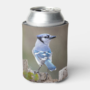 Rafraîchisseur Pour Canette Cute Bleu Jay Songbird sur Treestump
