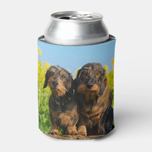 Rafraîchisseur Pour Canette Deux mignons Chiens Dachshund Dackel Photo Amusant (Can devant)