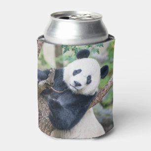 Rafraîchisseur Pour Canette Giant Panda in a Tree Can Cooler