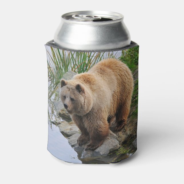 Rafraîchisseur Pour Canette Grizzly Oear Wildlife Animal Photographie (Can Dos)