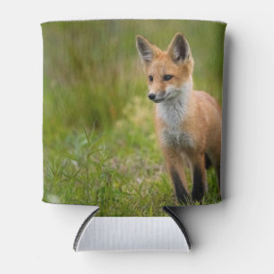 Rafraîchisseur Pour Canette Kit Renard Rouge Dans Pré Grassy