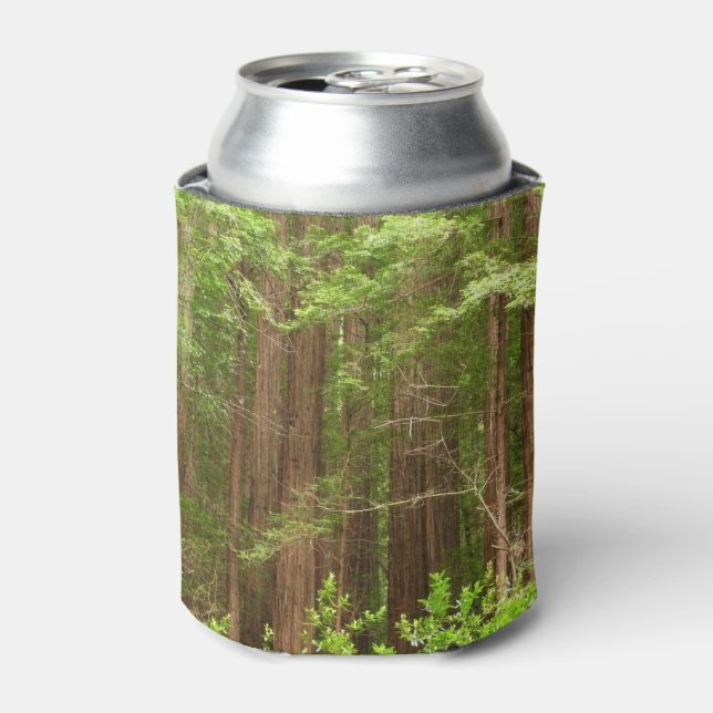 Rafraîchisseur Pour Canette Les séquoias au monument national de Muir Woods (Can devant)