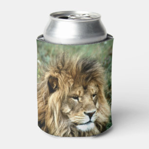Rafraîchisseur Pour Canette Lion africain