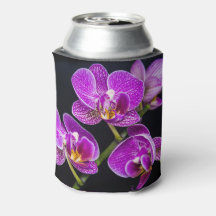 Orchidée violette