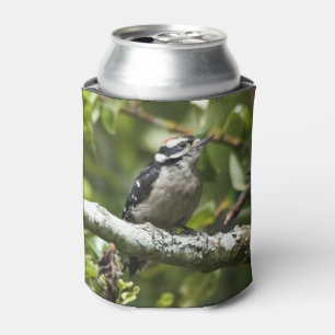 Rafraîchisseur Pour Canette Petit Pic Downy mignon dans l'arbre à poires