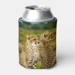 Rafraîchisseur Pour Canette Photo Wildlife Cheetah
