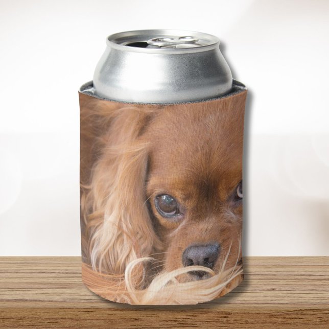 Rafraîchisseur Pour Canette Spaniel Cavalier King Charles Ruby (Créateur téléchargé)