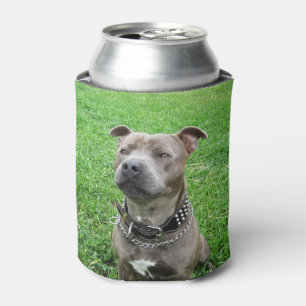 Rafraîchisseur Pour Canette Staffordshire Bull Terrier
