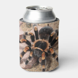 Rafraîchisseur Pour Canette Tarantula au genou rouge mexicain
