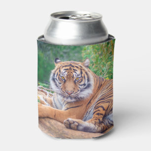 Rafraîchisseur Pour Canette Tigre de rappel relaxant