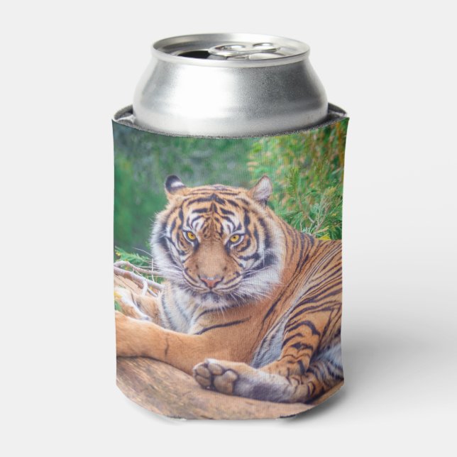 Rafraîchisseur Pour Canette Tigre de rappel relaxant (Can devant)