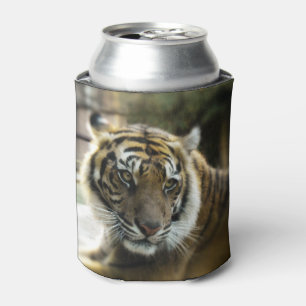 Rafraîchisseur Pour Canette Tigre du Bengale
