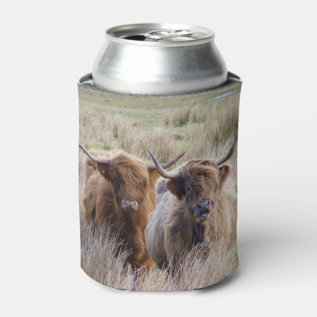 Rafraîchisseur Pour Canette Vaches écossaises des Highlands (Can devant)