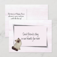 Rag Doll Cat Pet Beileid