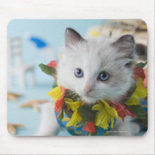 Rag Doll Kitten und Sommerurlaub Mousepad