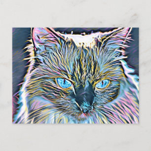 Ragdoll Art Postkarte