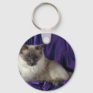 Ragdoll, blauer Punkt Schlüsselanhänger