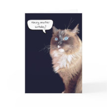 Ragdoll Cat Birthday Spaß