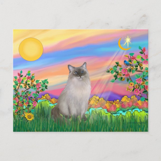 Ragdoll Cat (Blue Point) - Day Star Postkarte (Vorderseite)