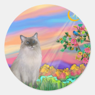 Ragdoll Cat (Blue Point) - Day Star Runder Aufkleber