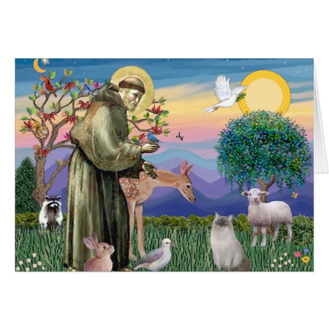 Ragdoll Cat (Blue Point) und Saint Francis (Vorderseite (Horizontal))