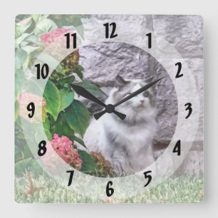 Ragdoll Cat By Hydrangea Quadratische Wanduhr