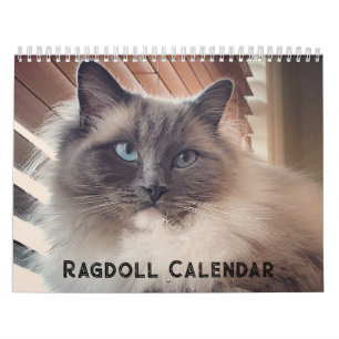 Ragdoll Cat Calendar Kalender