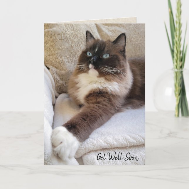 Ragdoll Cat Get Well bald Karte (Vorderseite)