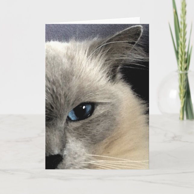 Ragdoll Cat Grußkarte Karte (Vorderseite)
