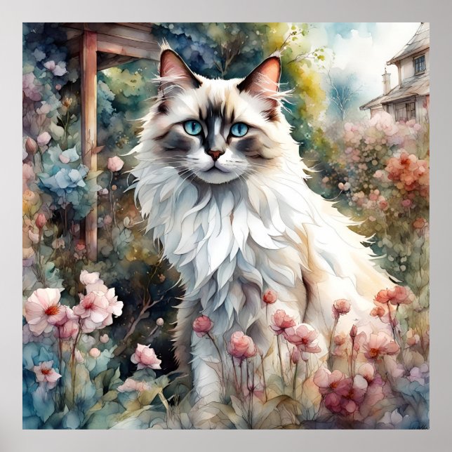 Ragdoll Cat in English Garden Poster (Vorne)